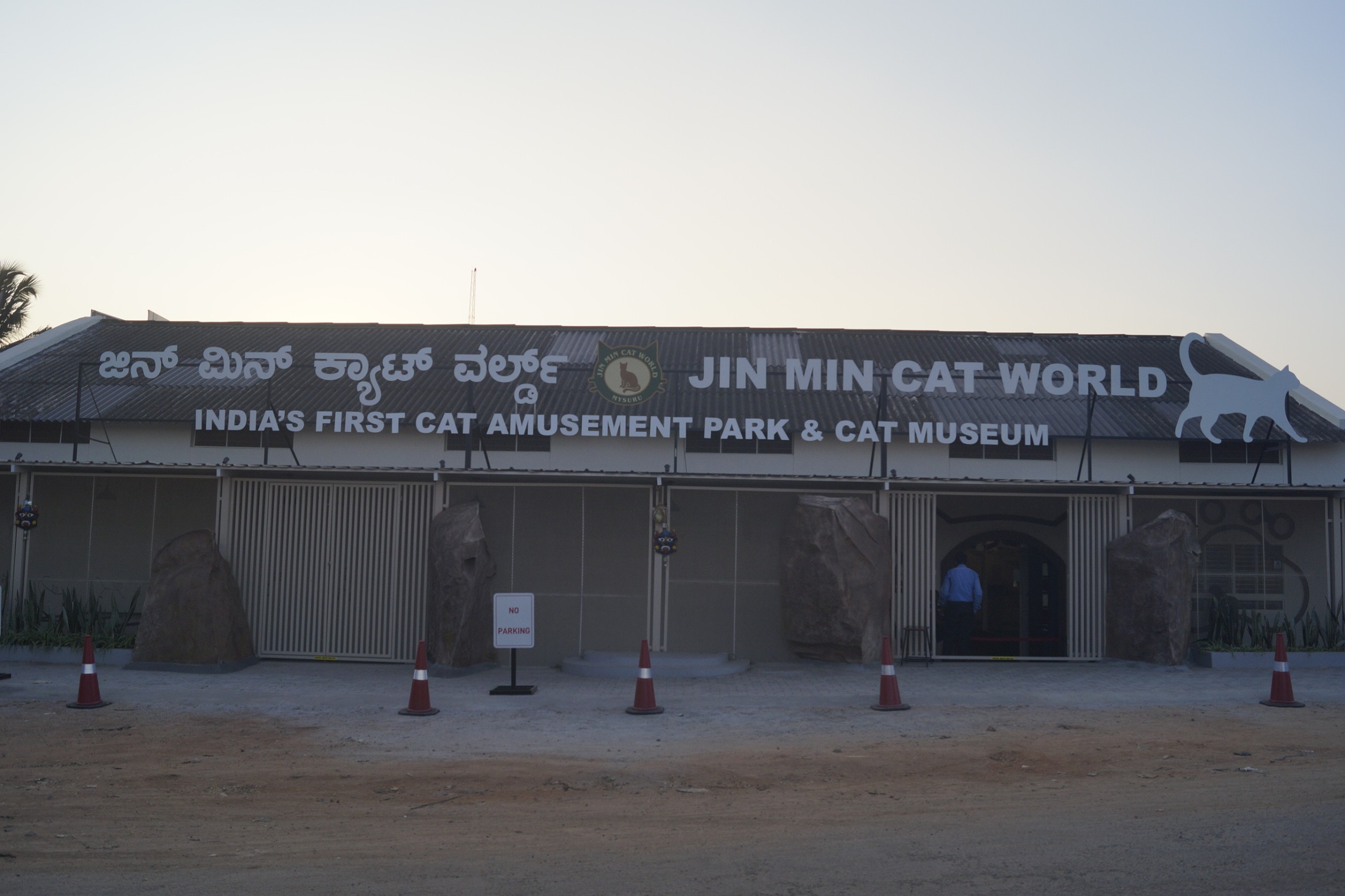 From Palace City to Pet Education Hub: India's First Cat Museum Launched in Mysuru