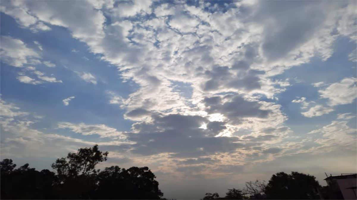 HARYANA WEATHER UPDATE