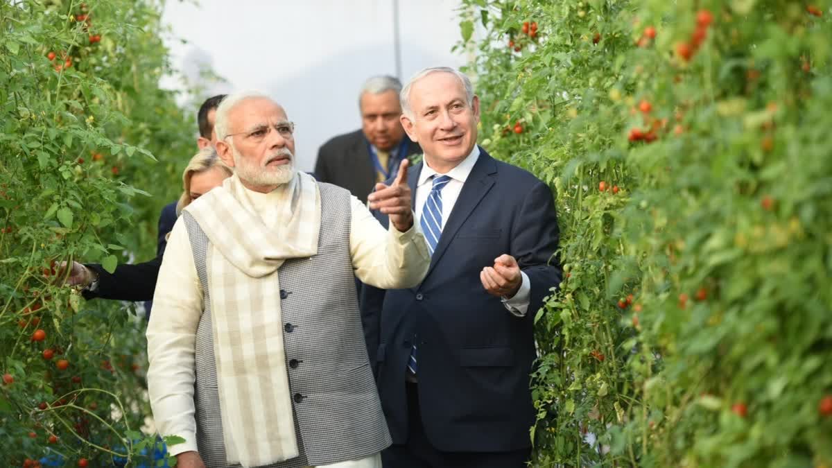 Prime Minister Narendra Modi and Israeli Prime Minister Benjamin Netanyahu during their visit to the Center of Excellence on Vegetables in Vadrad, Gujarat on Jan 17, 2018.