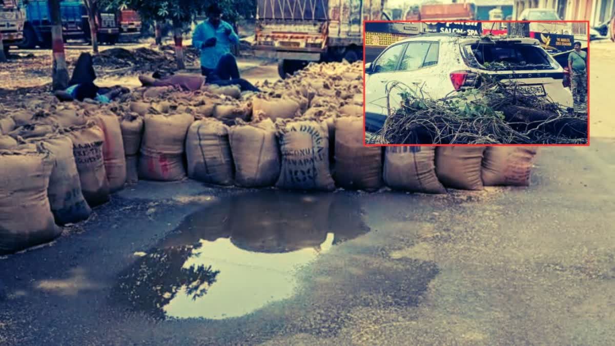 Nagpur Unseasonal Rain