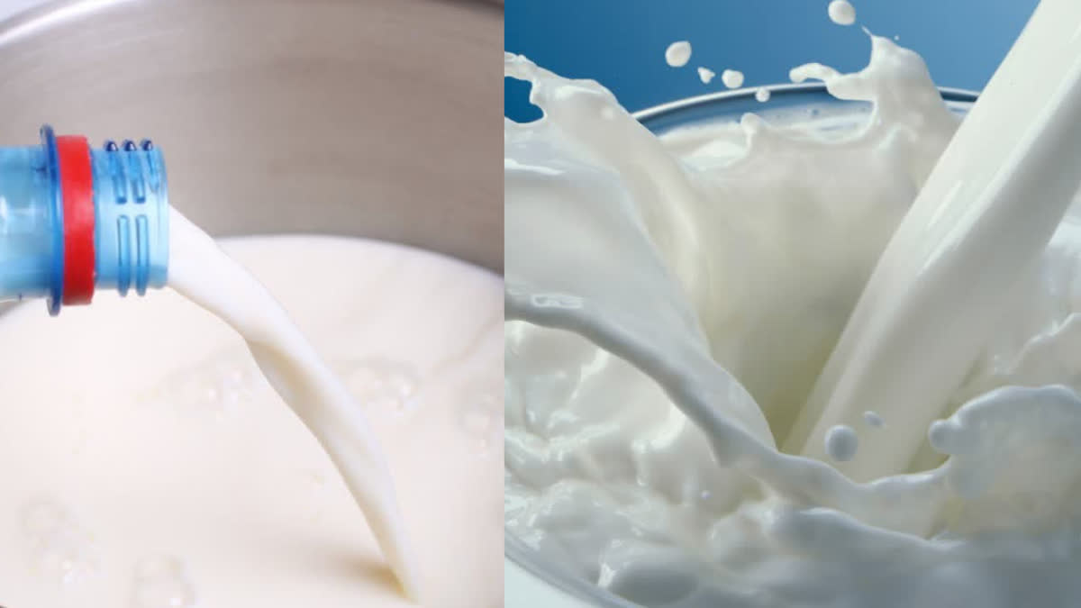 Check these 7 things before buying a milk packet, this truth should reach every home Urdu News