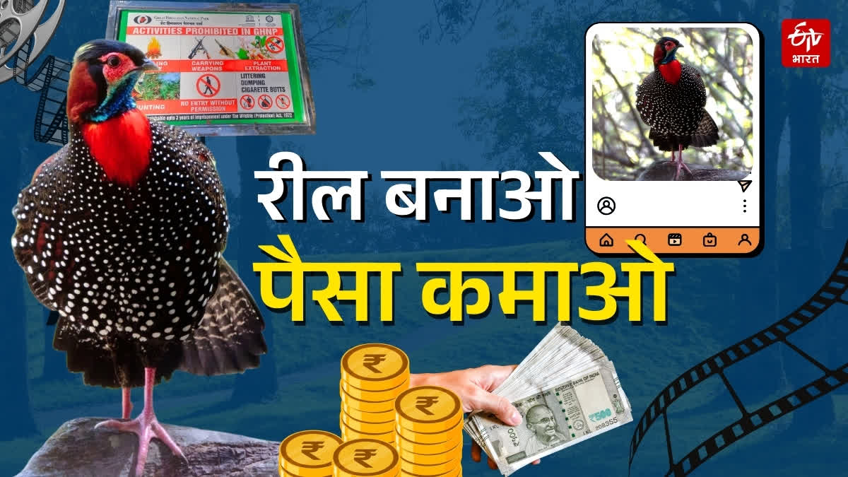 Kullu Great Himalayan National Park