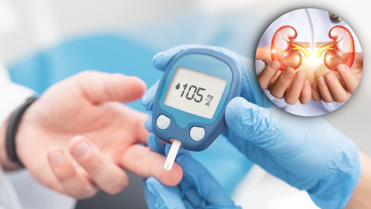diabetes  How diabetes damages the kidneys  risk factors for kidney disease  ಮಧುಮೇಹದಿಂದ ಕಿಡ್ನಿಗಳಿಗೆ ಹಾನಿ ಹೇಗೆ