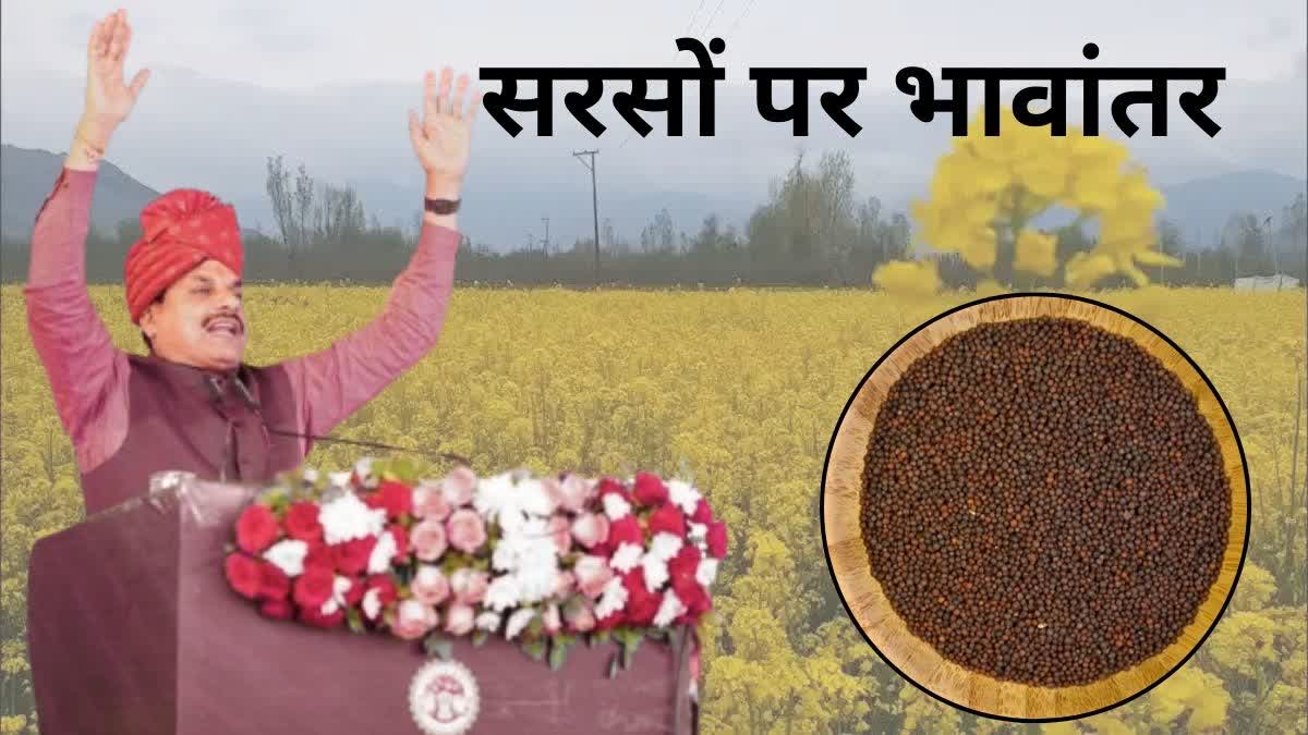 Mustard Bhavantar Yojana MP