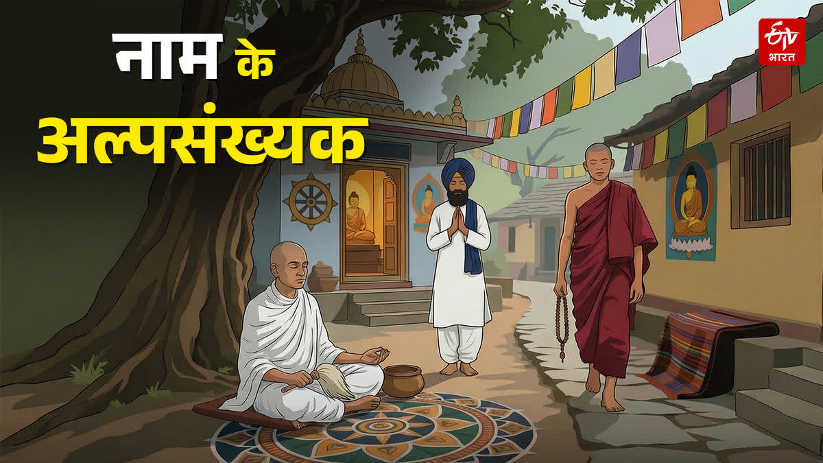 minority certificate