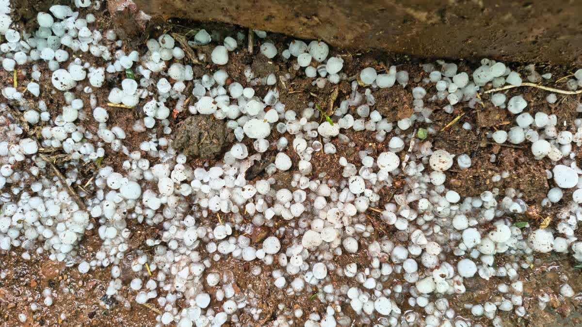 SHIVPURI HEAVY HAILSTORM