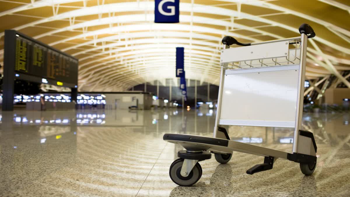 Indore Trolleys near conveyor belt