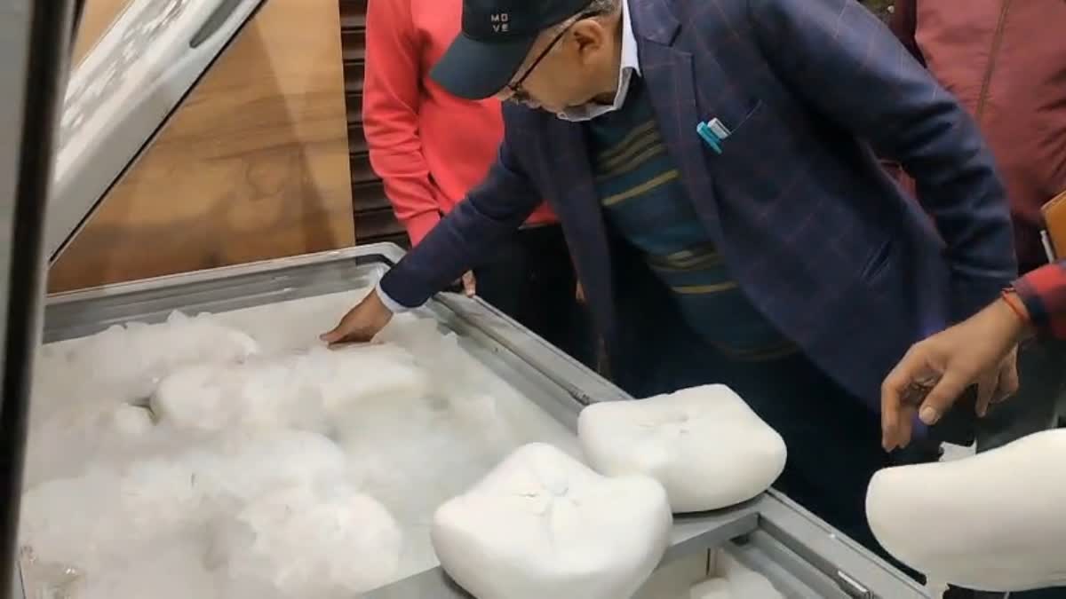 Haridwar Fake Paneer