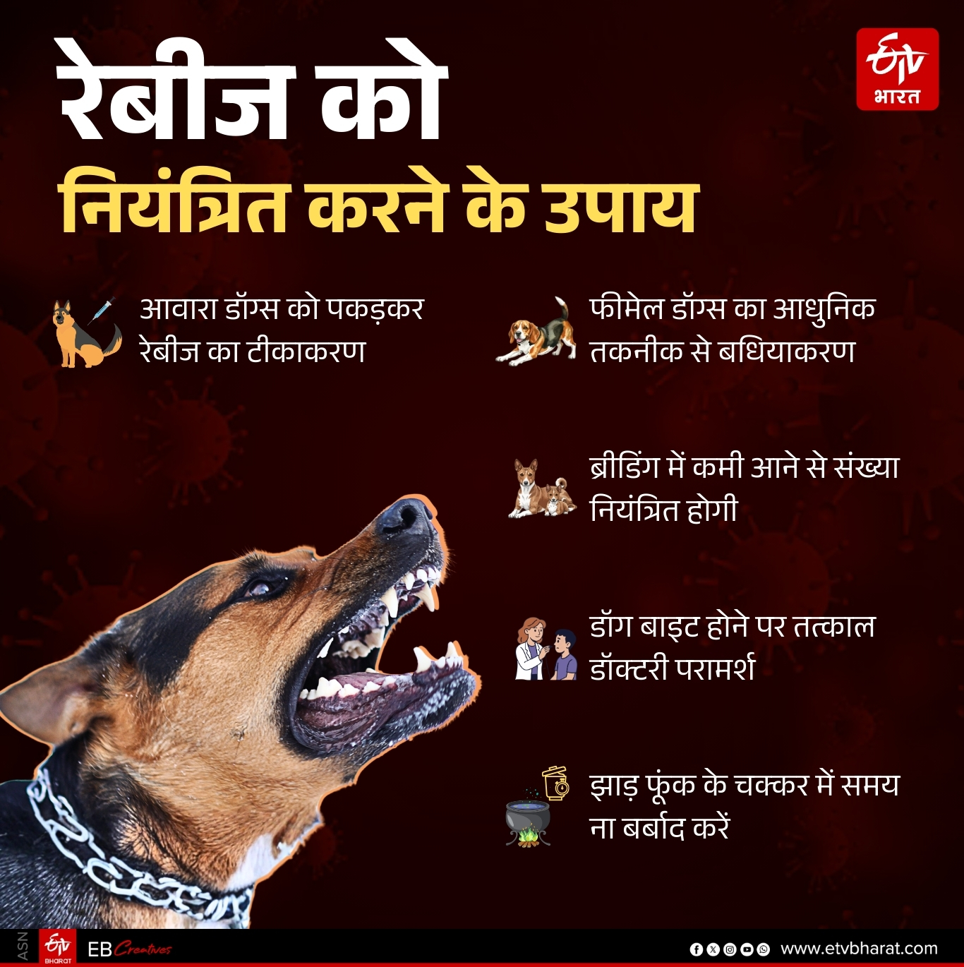 Ways to avoid rabies jaws