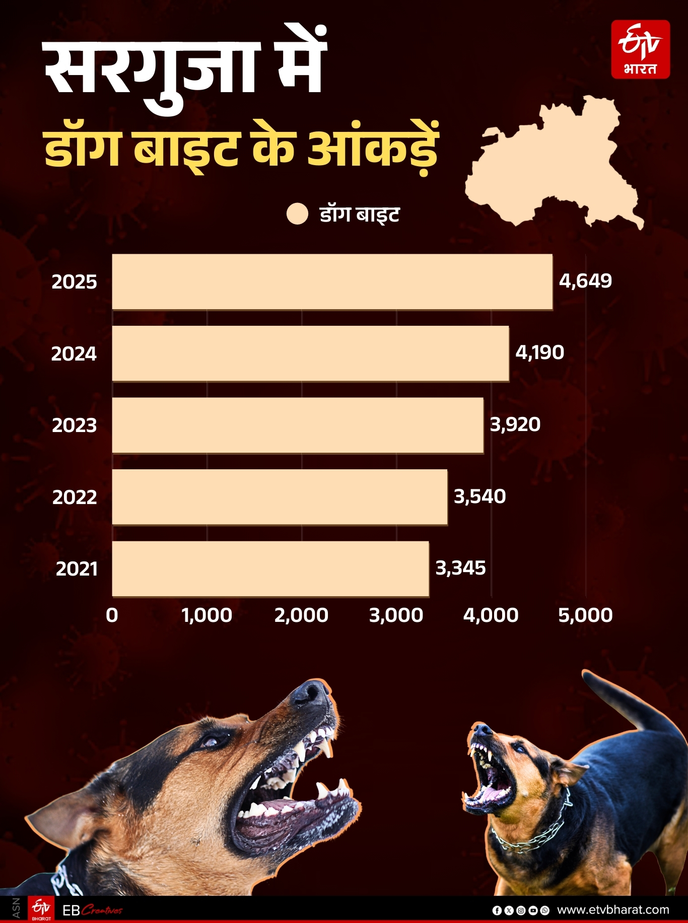 WAYS TO AVOID RABIES JAWS