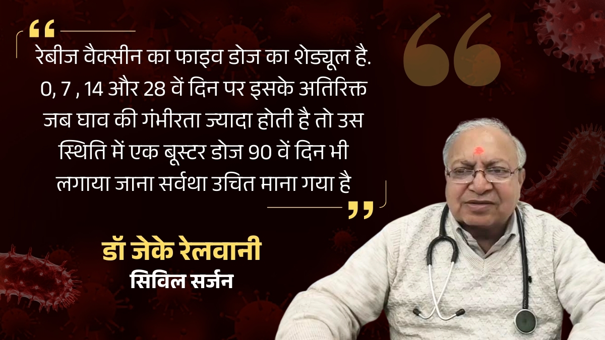 Full dose of rabies vaccine is necessary