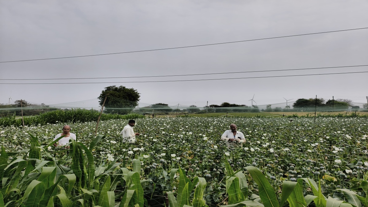 Southern MP rain chance