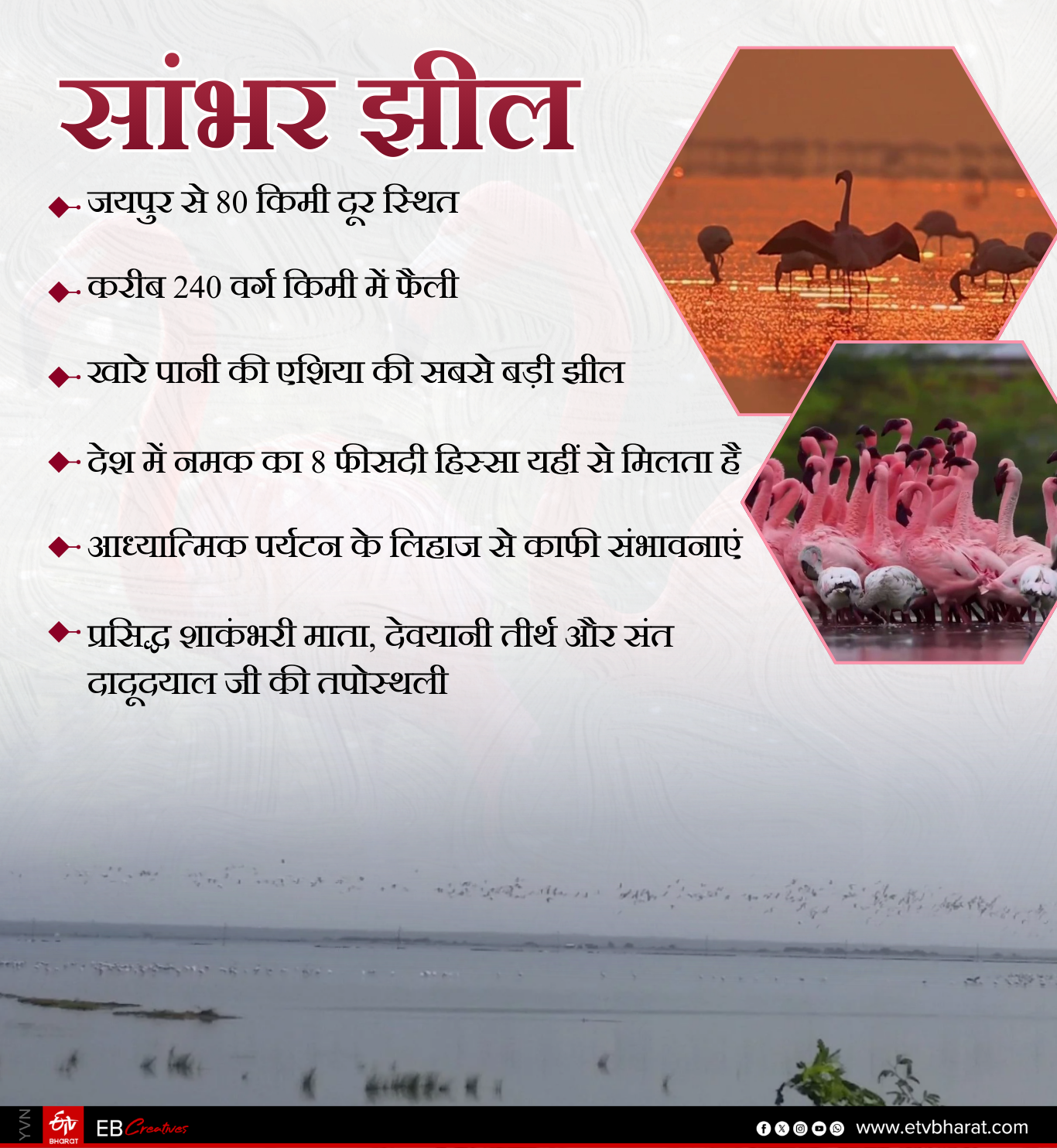 सांभर लेक बर्ड फेस्टिवल