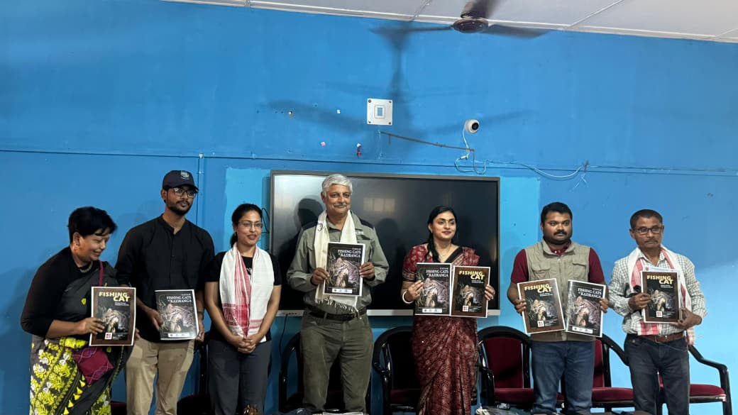 Kaziranga National Park