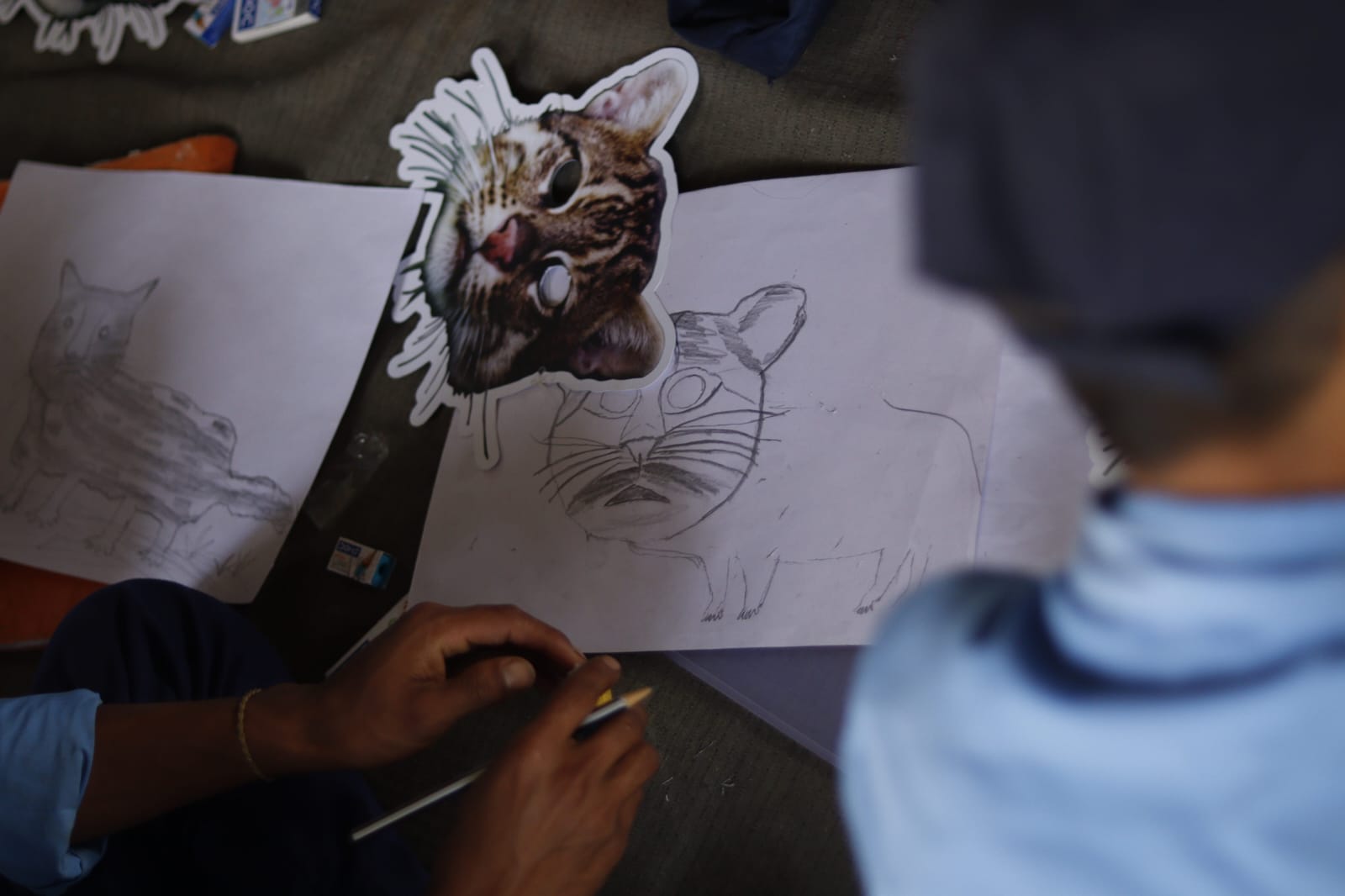 Kaziranga National Park