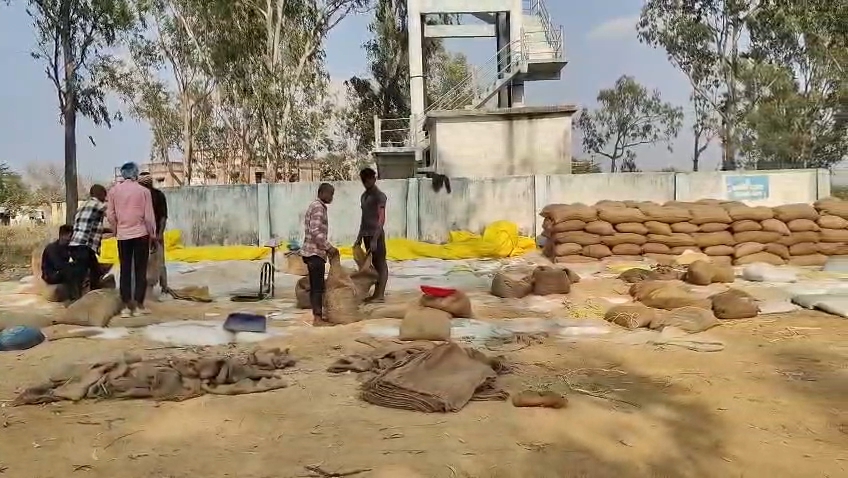 Paddy Scam in Manendragarh
