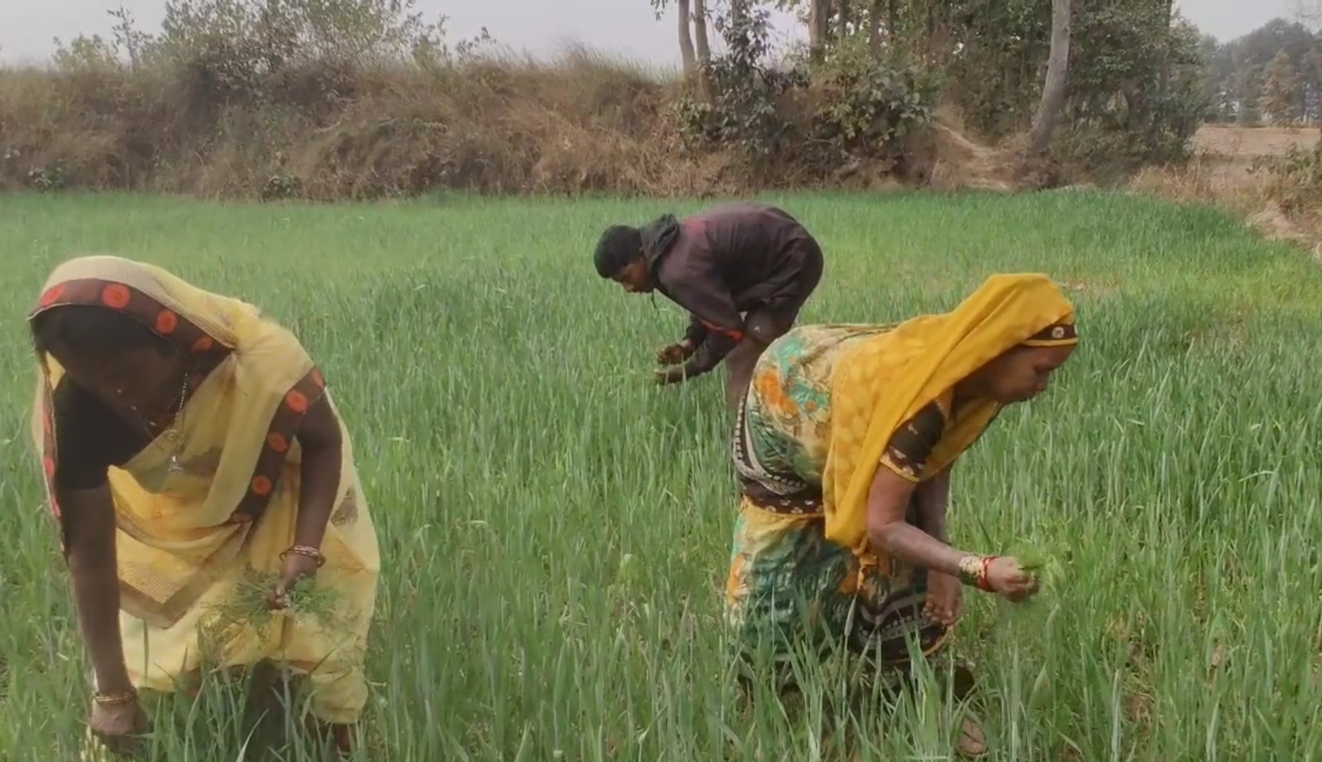 Amazing work of villagers of Surajpur