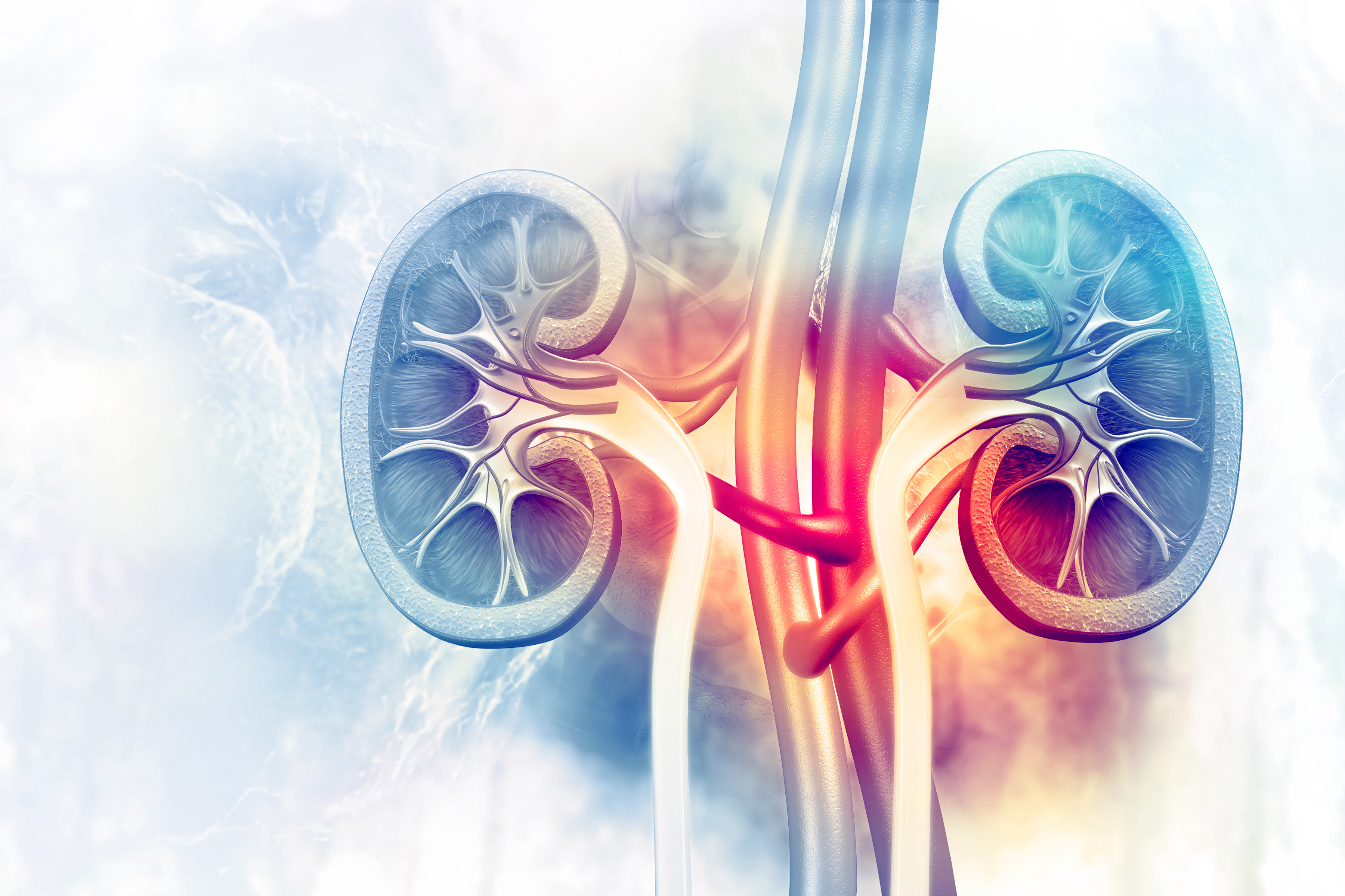 diabetes  How diabetes damages the kidneys  risk factors for kidney disease  ಮಧುಮೇಹದಿಂದ ಕಿಡ್ನಿಗಳಿಗೆ ಹಾನಿ ಹೇಗೆ