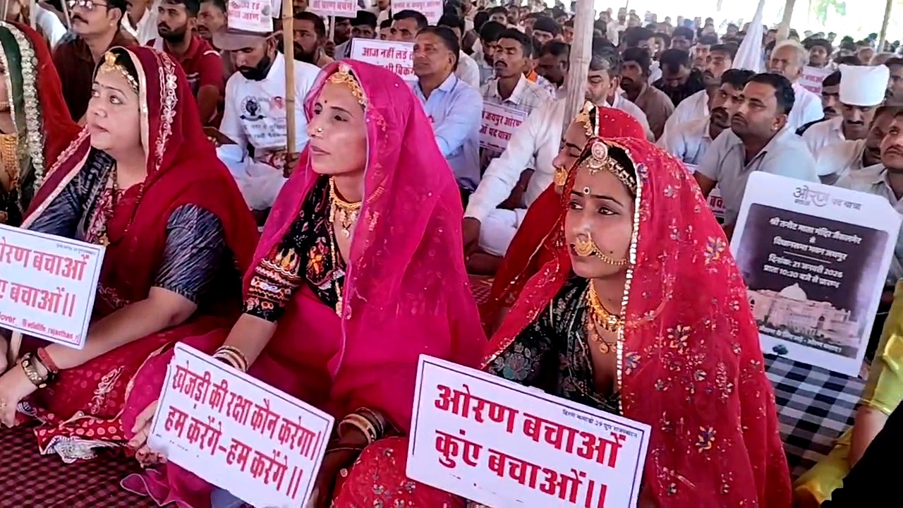 Women supporting the cause of saving the forest