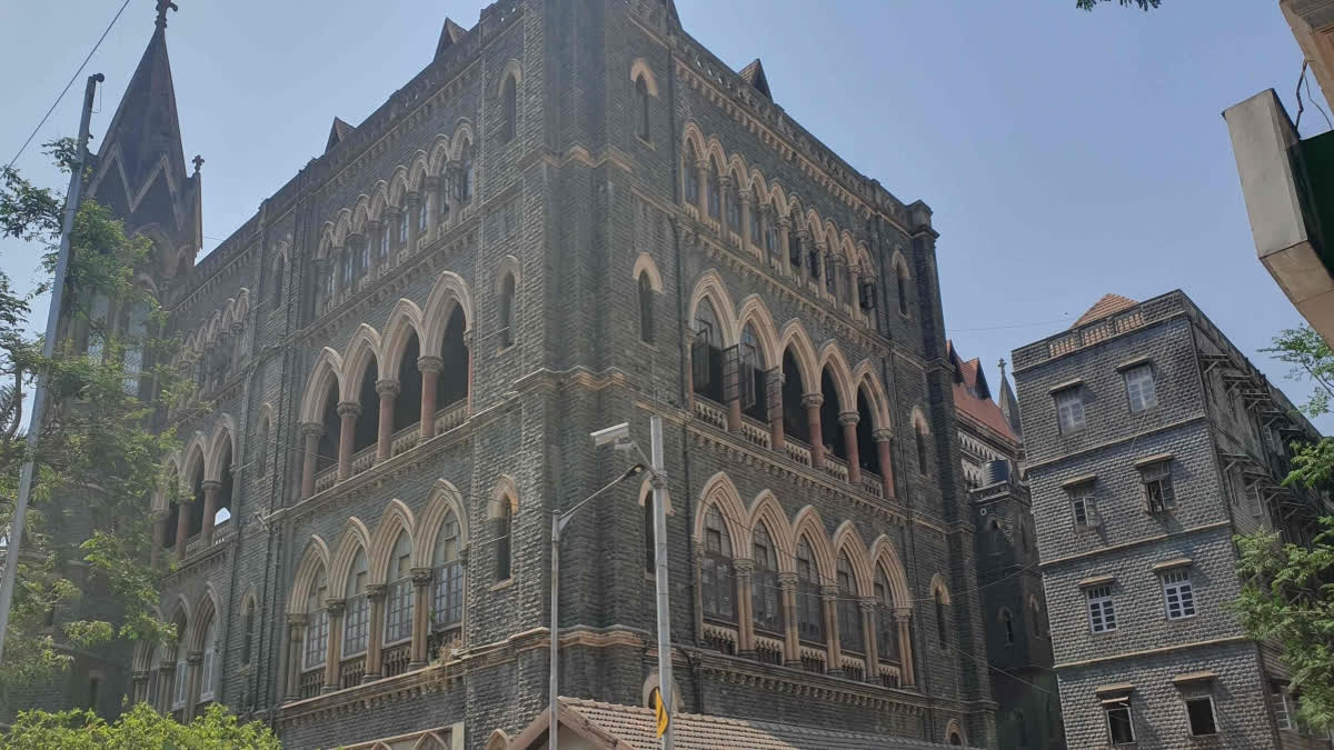 Bombay High Court Orders Verification Of All Mumbai Hawkers, Directs Action Against Illegal Foreign Nationals