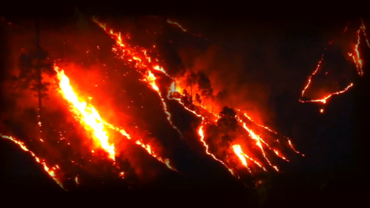 Uttarakhand Forest Fire: Dry Period, Rising Heatwave Leads to Fierce Wildfires in Nanital Uttarakhand Forest Fire: Dry Period, Rising Heatwave Leads to Fierce Wildfires in Nanital