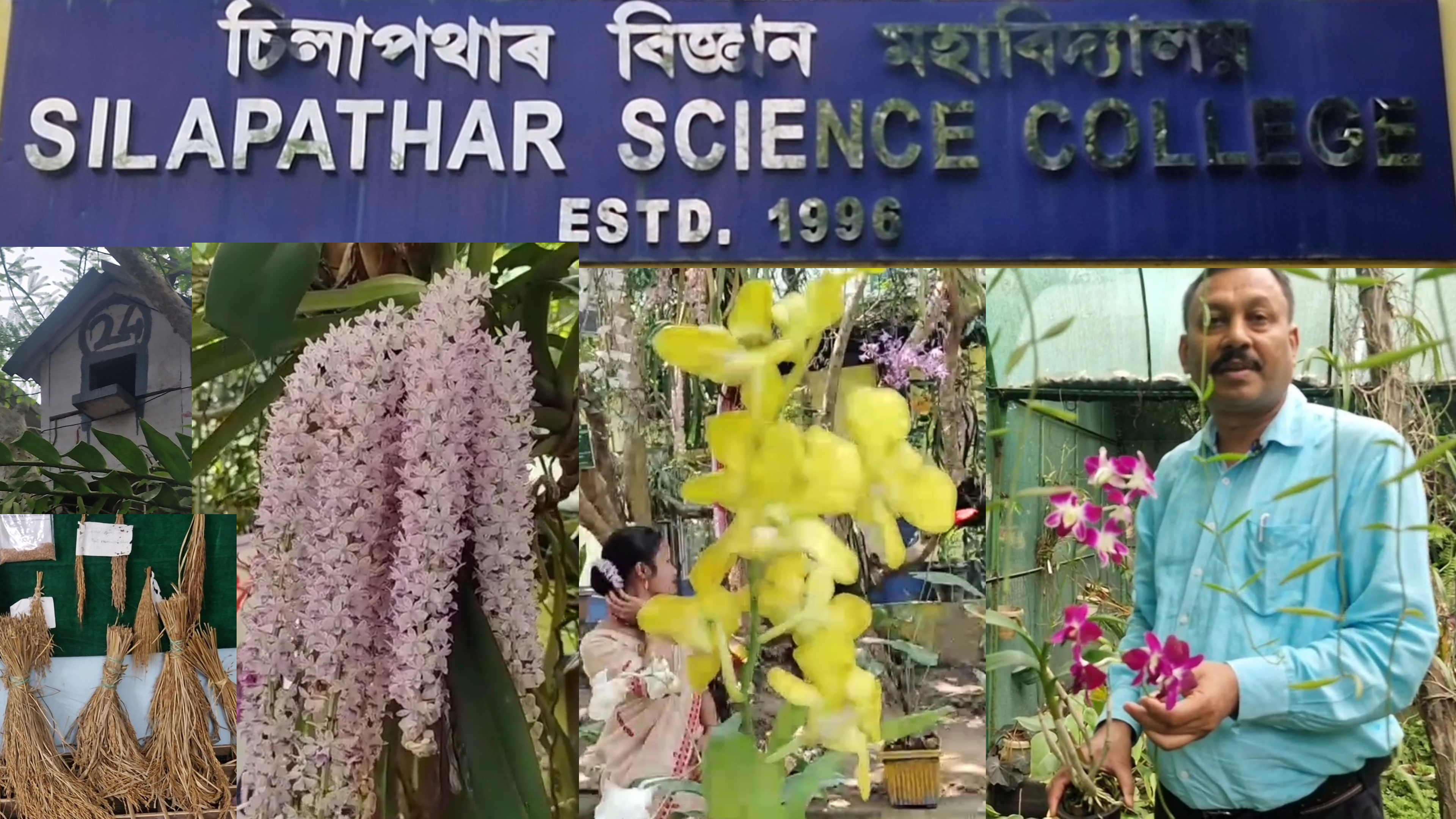 Orchids at Silapathar Science College