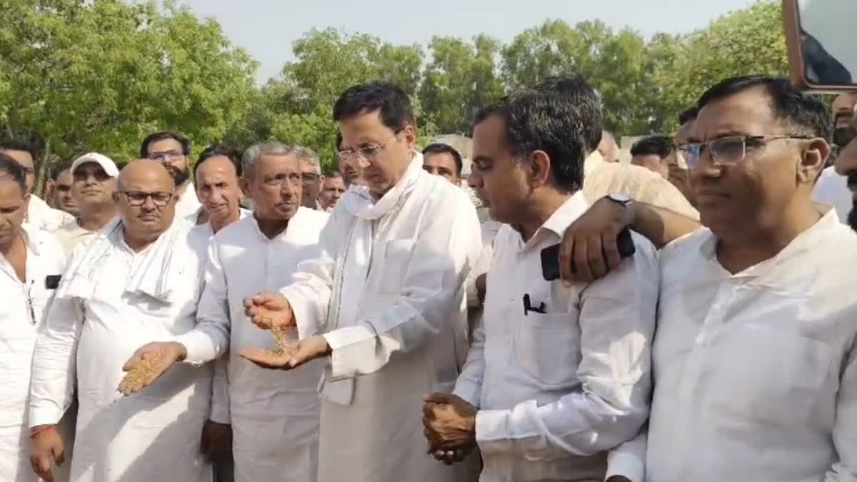Randeep Singh Surjewala demanded a special session of the Haryana Assembly on the wheat and mustard procurement issue