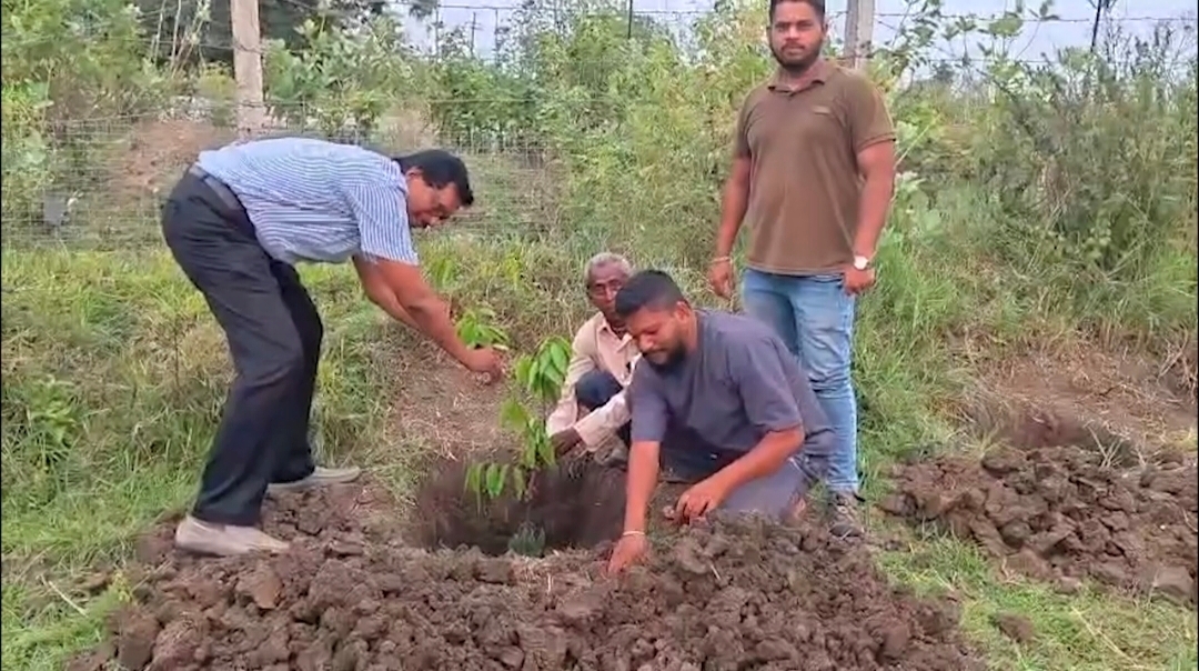Tree Ambulance In Odisha