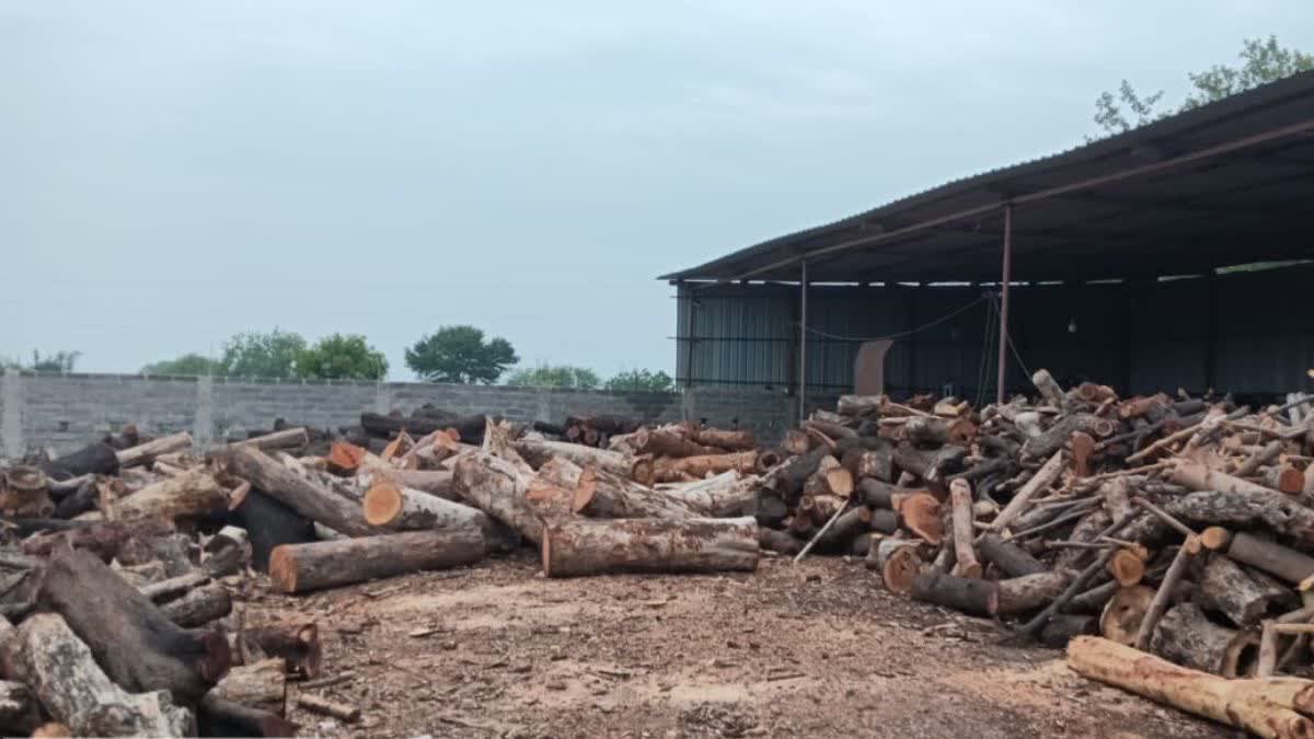 BALODABAZAR TIMBER SMUGGLING