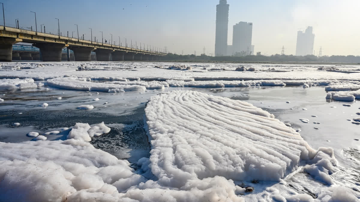 To Draw Attention To Yamuna Pollution, Man Reaches Mathura Civic Body ...