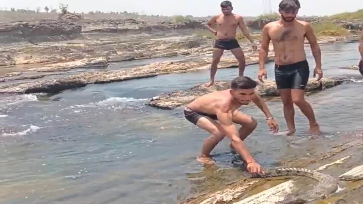 SON GHARIAL SANCTUARY SIDHI