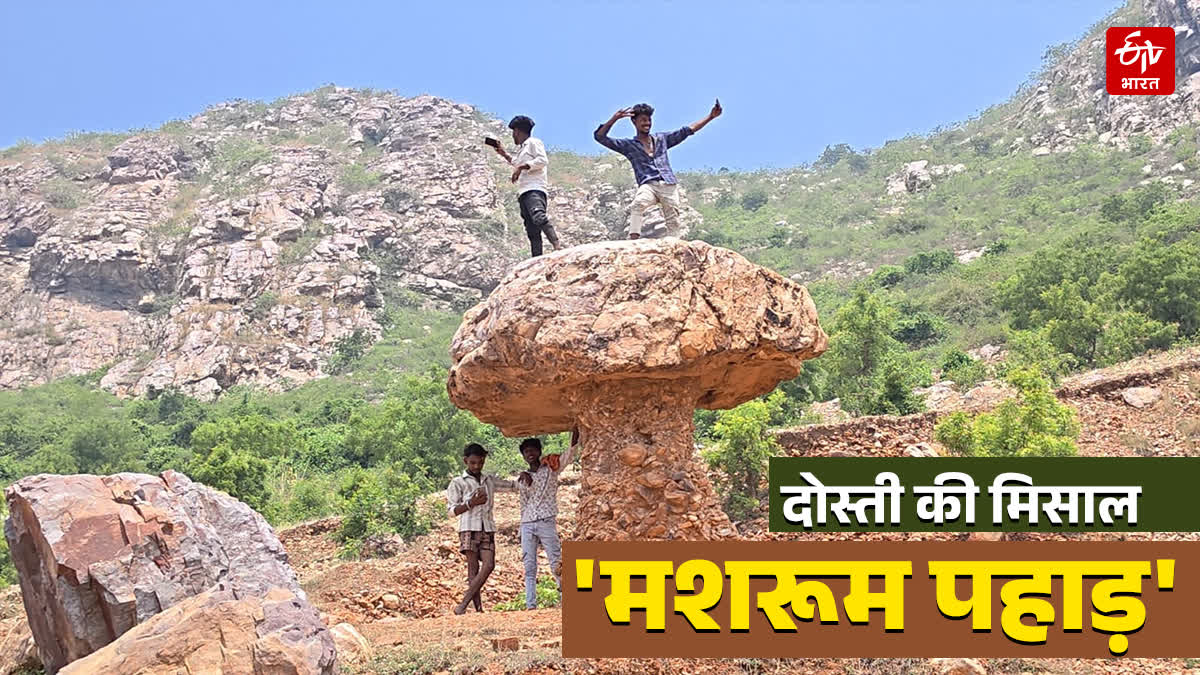 MUSHROOM PAHAD IN GAYA