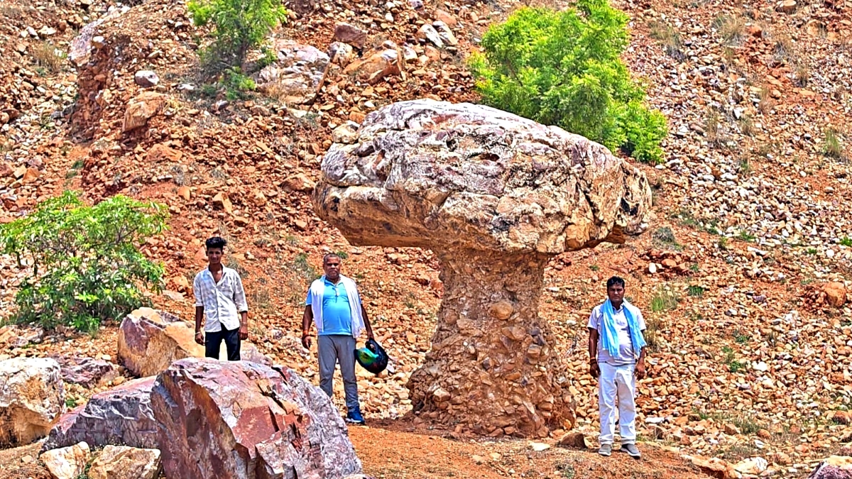 MUSHROOM PAHAD IN GAYA