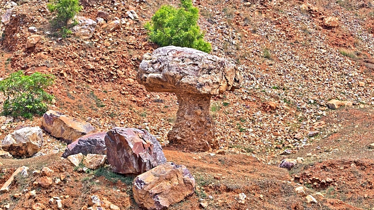 MUSHROOM PAHAD IN GAYA