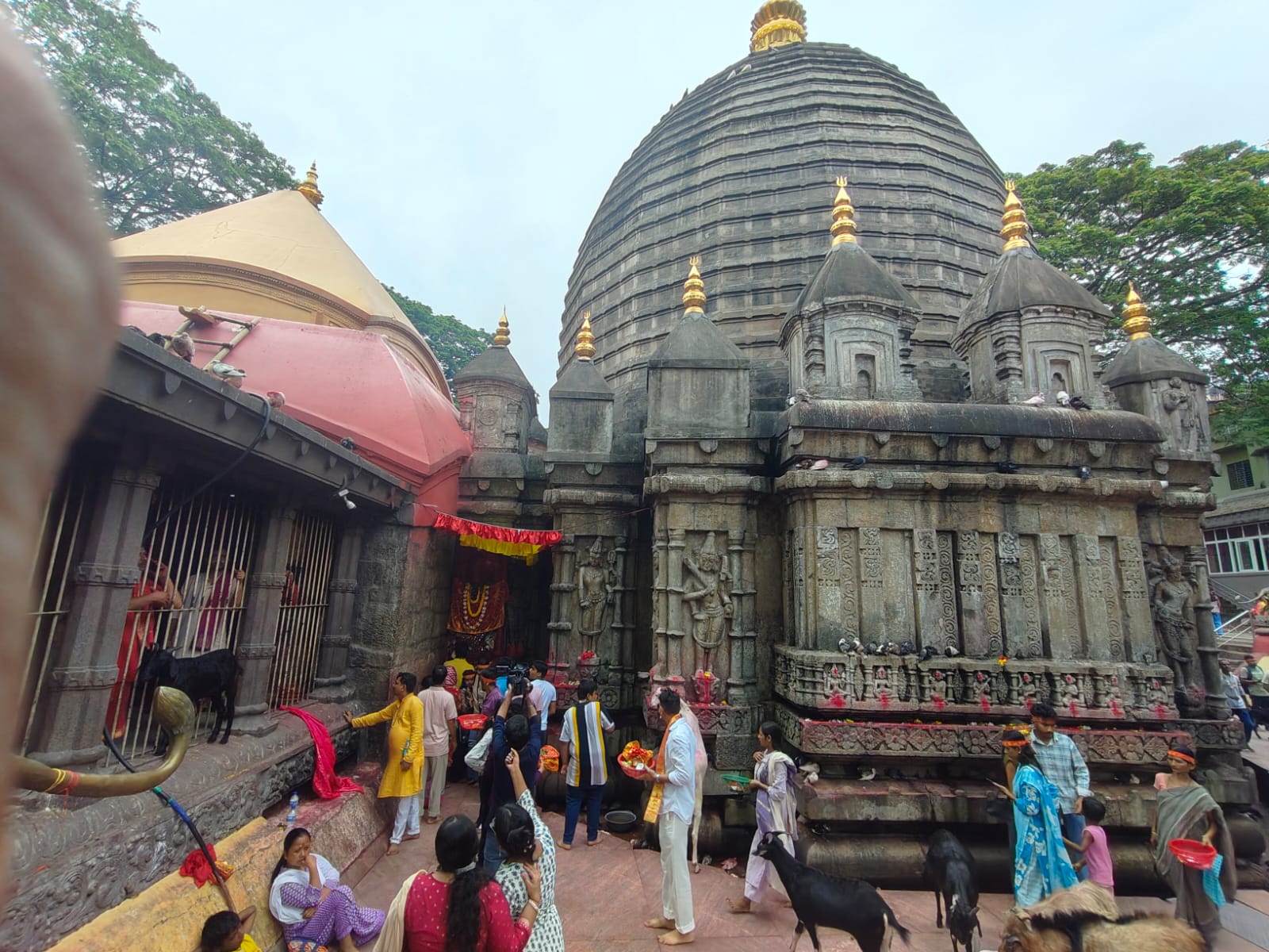 The Ambubachi Mahayog 2026 will start from June 22