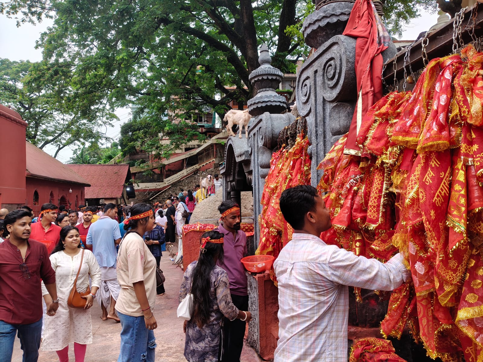 The Ambubachi Mahayog 2026 will start from June 22