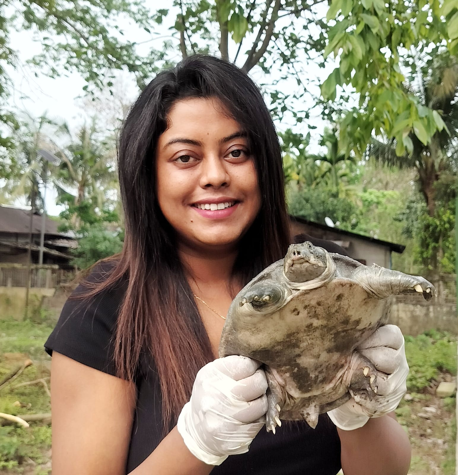 World Turtle Day