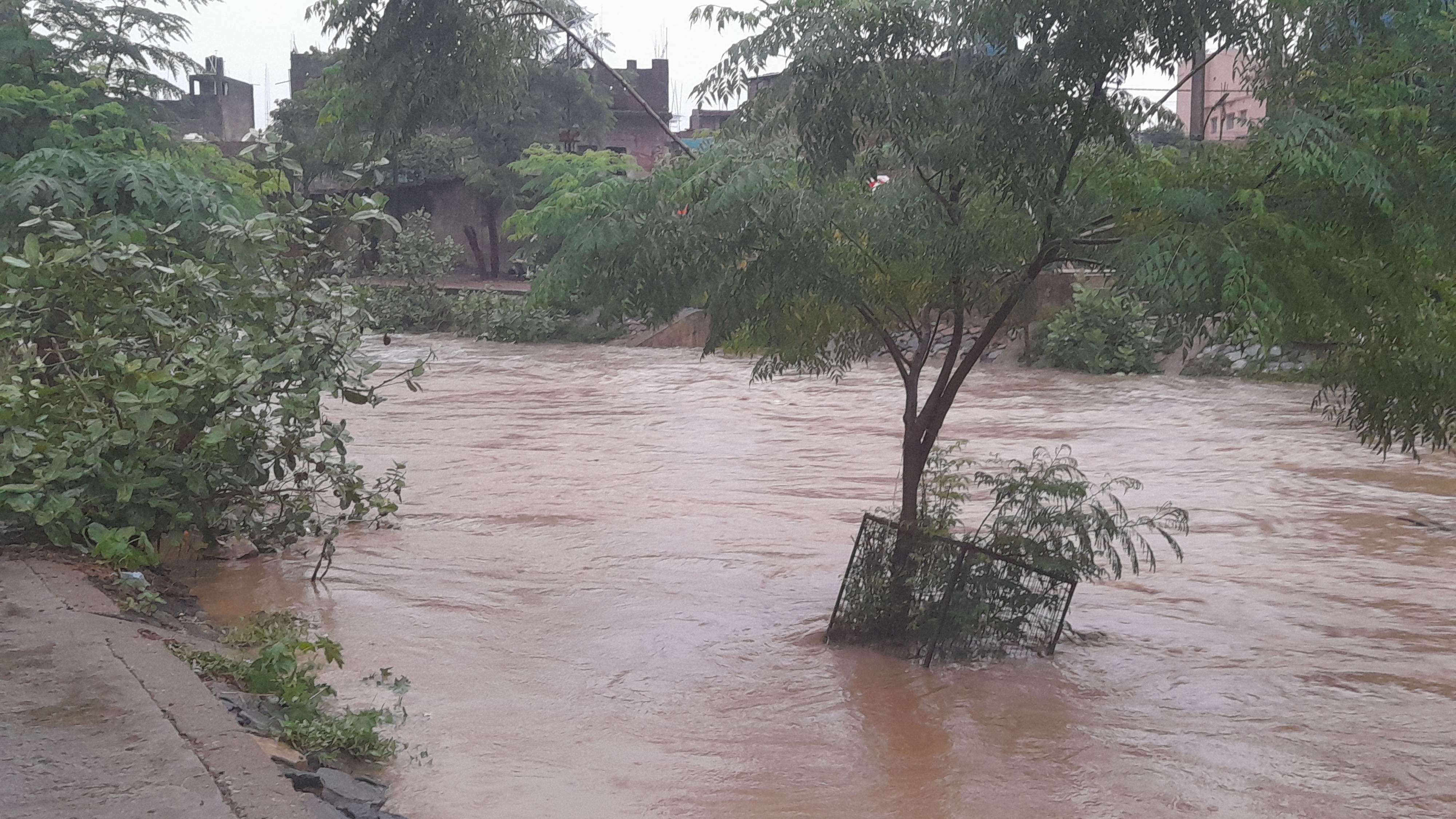 Monsoon In Jharkhand