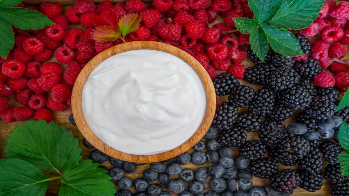 Yogurt