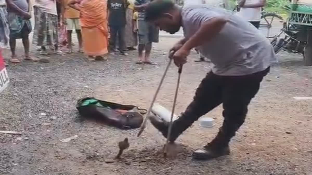 COBRA FOUND IN PAKUR