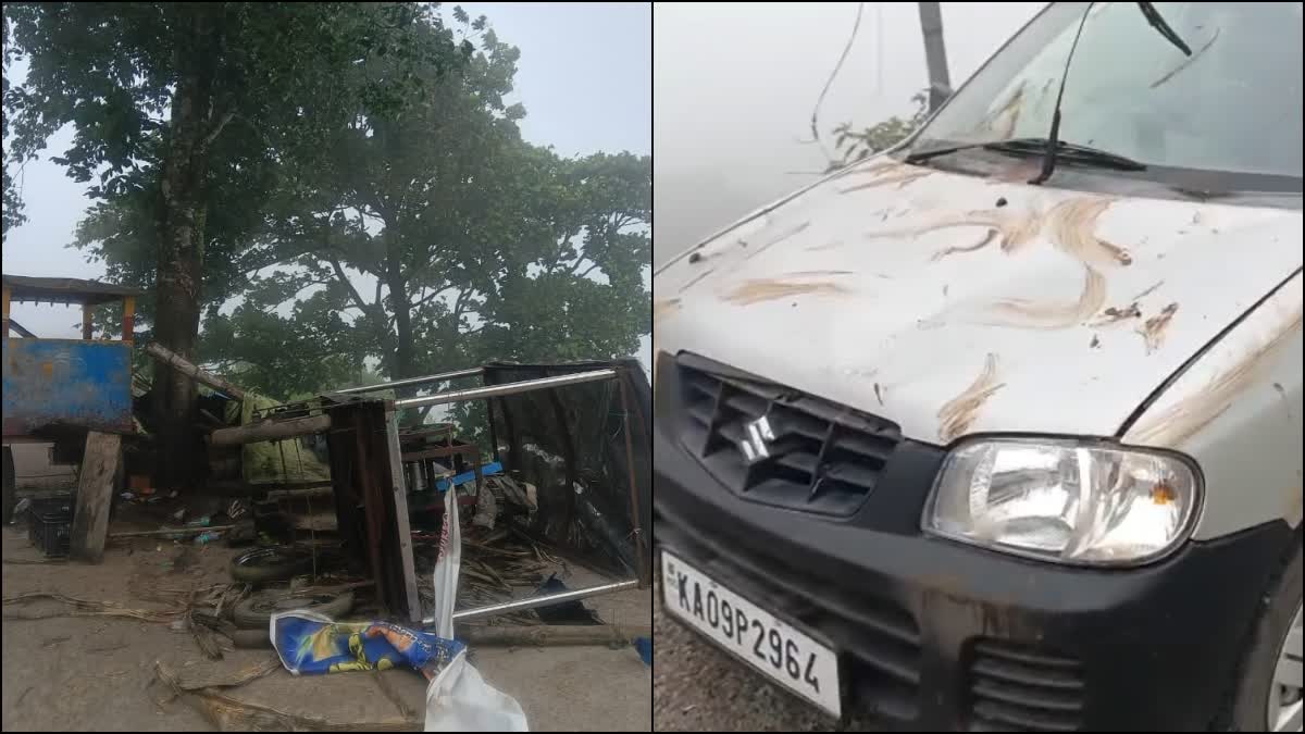 WILD ELEPHANT ATTACKED CAR AND HANDCART PARKED ON BILIGIRIRANGANA HILL
