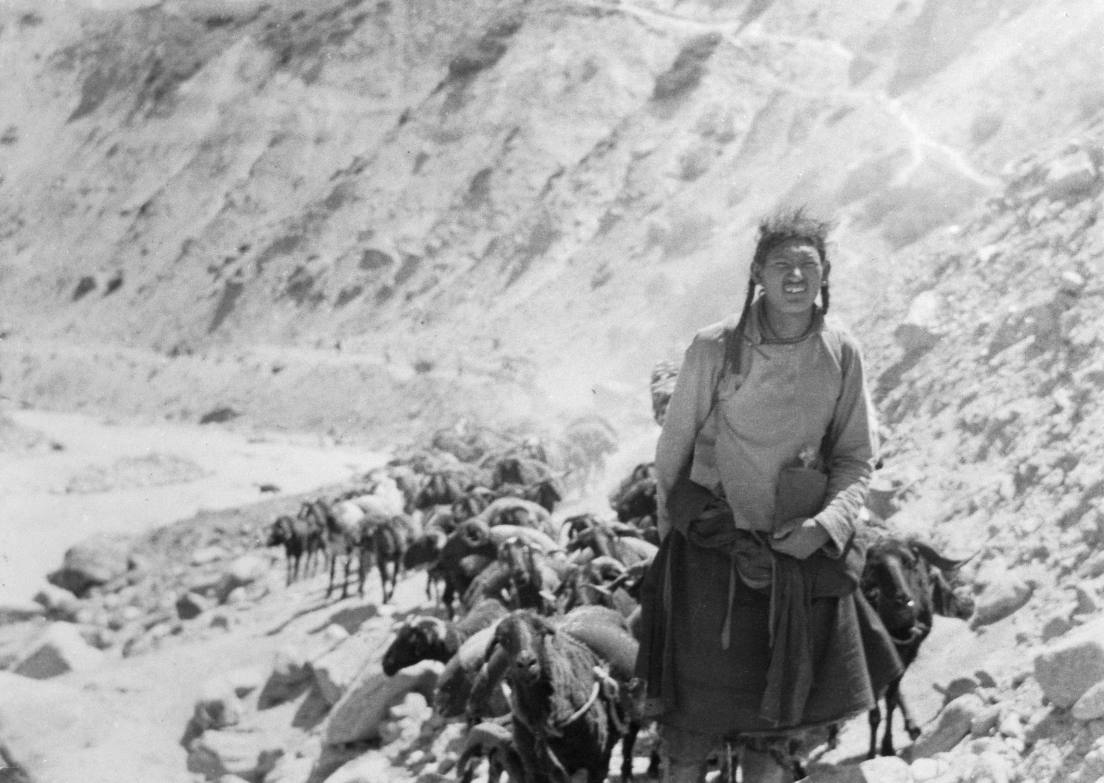 indo-tibetan-border-trade
