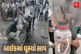 જૂનાગઢમાં ચાલતી બાઈકમાં ઘૂસ્યો સાપ
