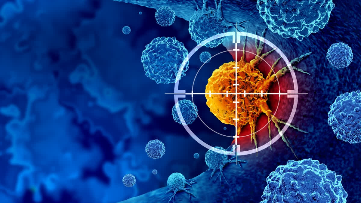 SMART CANCER DRUG RK 251