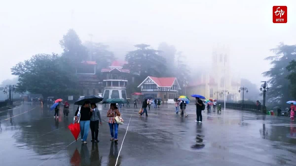 Himachal Weather Update