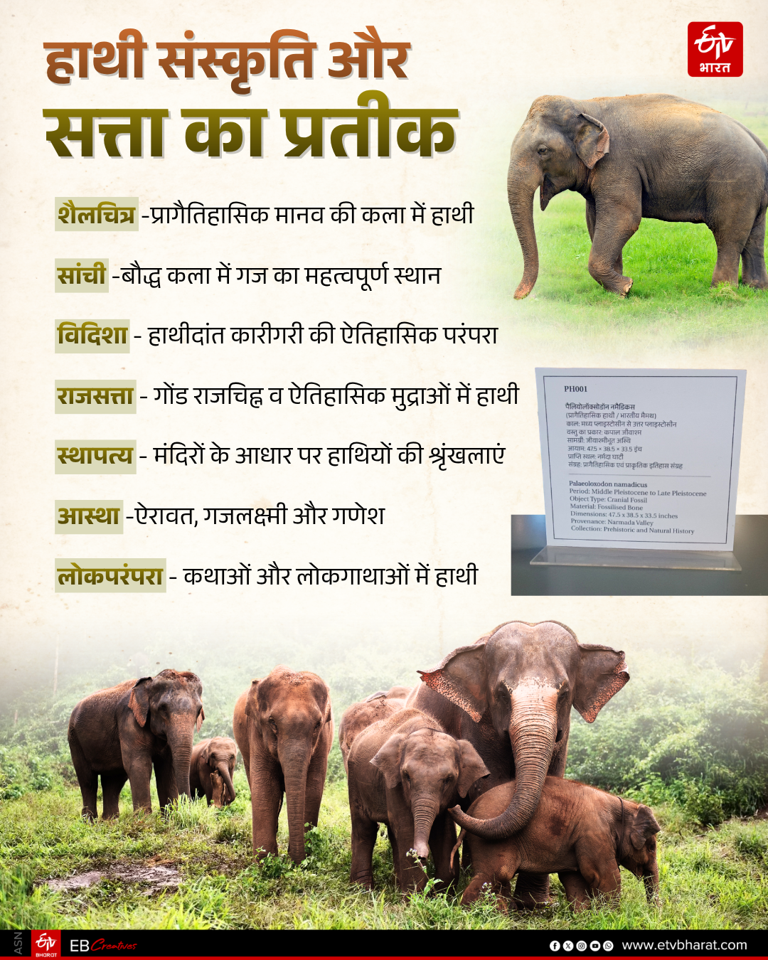 BANDHAVGARH TIGER RESERVE ELEPHANT
