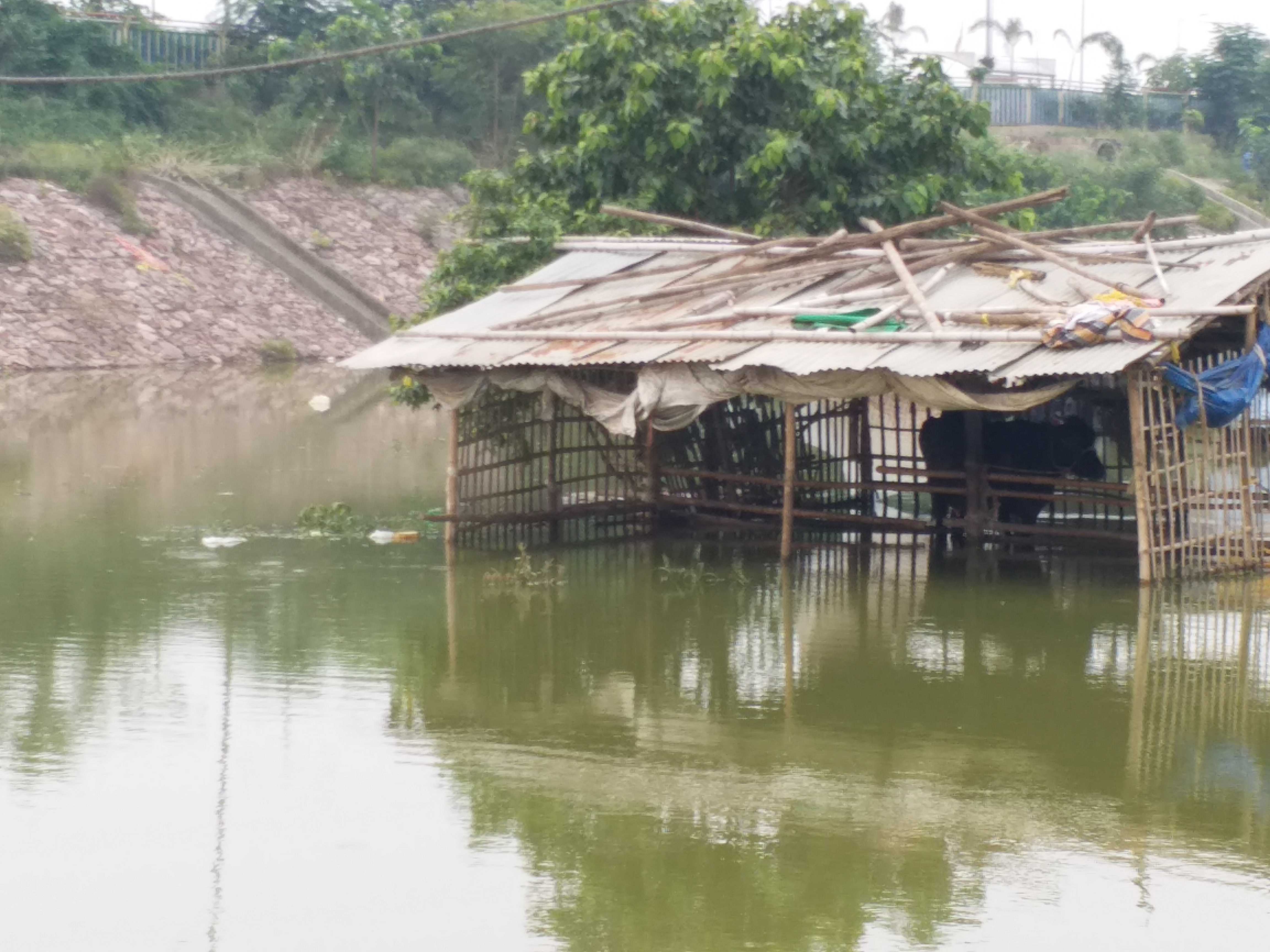 Bihar Flood