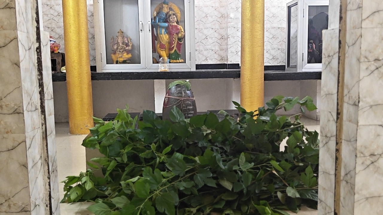 गौवंश को खिलाया जाता है घास का चढ़ावा