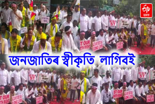 Demand for Tribalisation