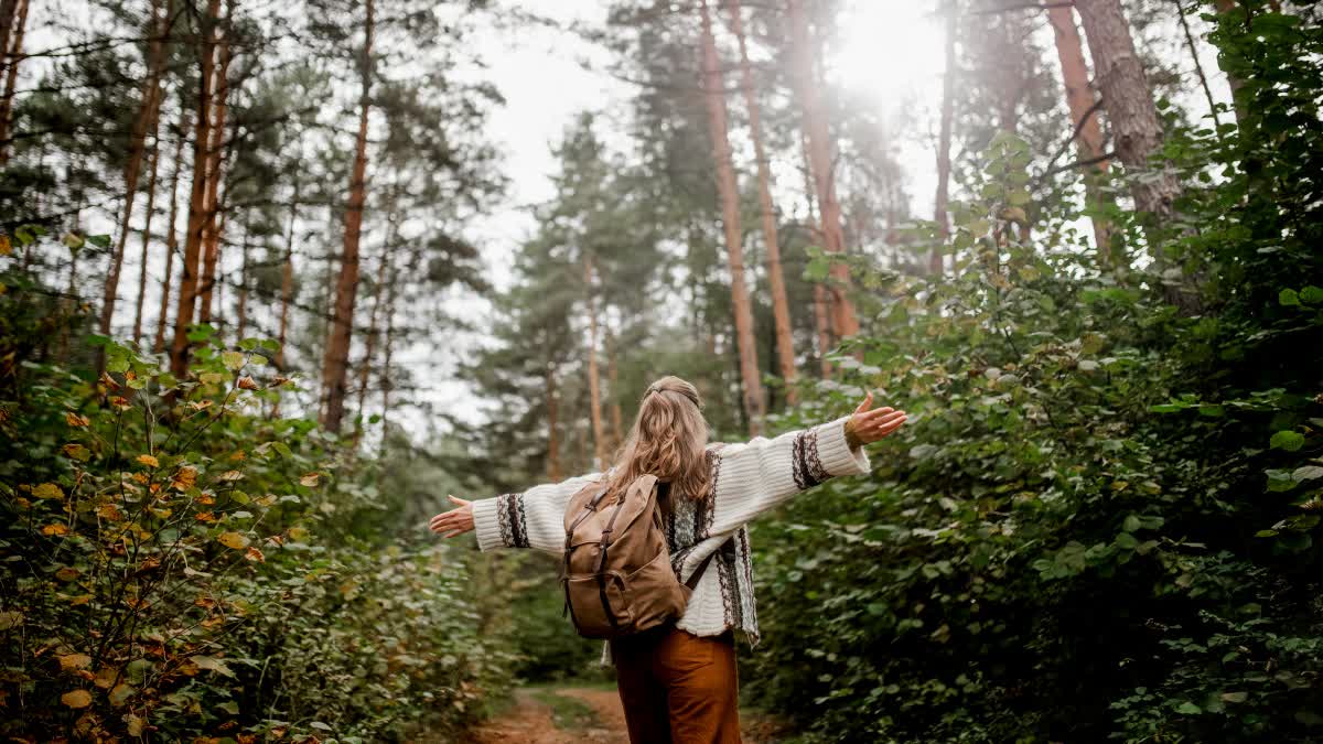 மன அழுத்தத்திலிருந்து விடுபட உதவும் ஜப்பானியர்களின் 'Forest Bathing' - எப்படி செய்வது?